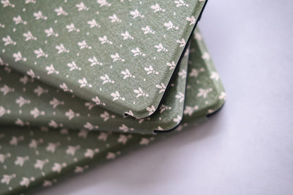 Sage Prairie - Kindle Case